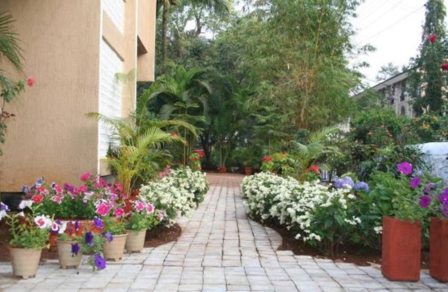 Ferreira Resort