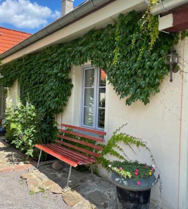 FEWO im Kneipenviertel Altkötzschenbroda