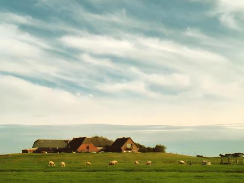 Fewo Nordseeblick