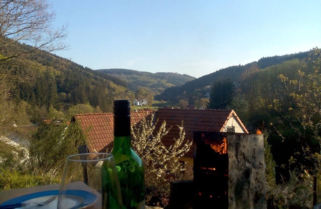 Fewo Pacohaus Nahe Willingen / Diemelsee Berg und Wald