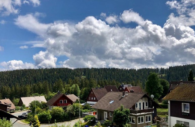 FeWo Waldblick Schulenberg im Oberharz