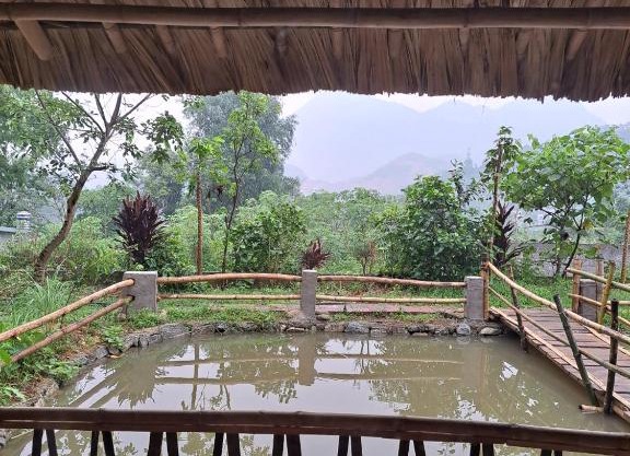 Field Homestay