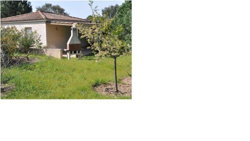 Figari : Villa arborée avec piscine