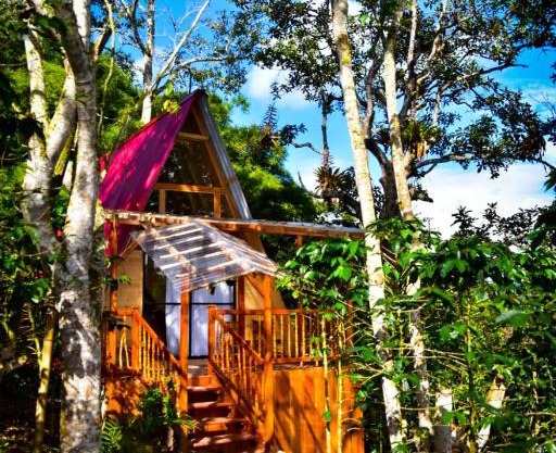 Finca La Rivera
