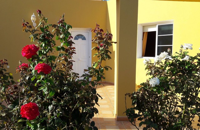 Finca Los Rosales, casa rural situada en el Valle de La Lajita, Fuerteventura.