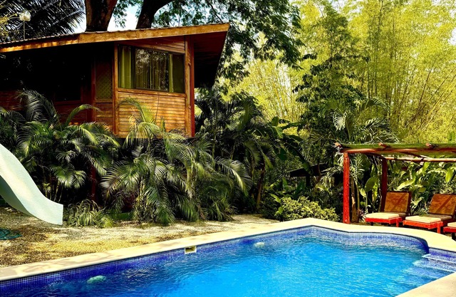 Casa Arbol