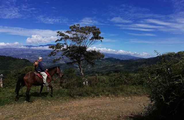 Finca Queveri