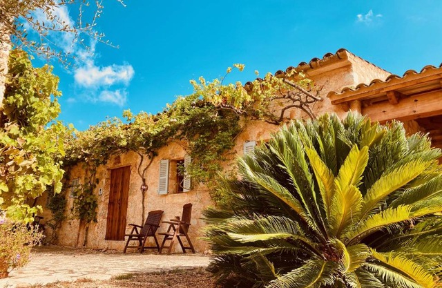 Finca Sa Moleta Nova