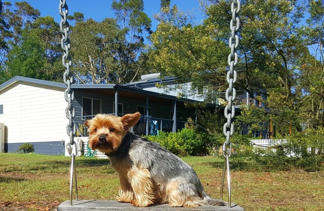 Finchley B&B - Se aceptan mascotas