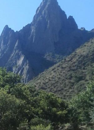 Firdavs guest house