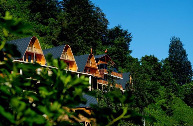 Fitoz Ağa Konakları - Rize