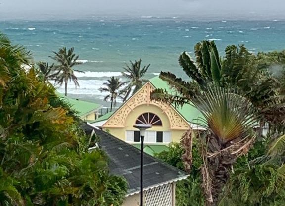 FLAMBOYANT St Francois