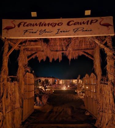 flamingo camp