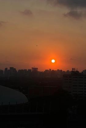 Flat Ibirapuera