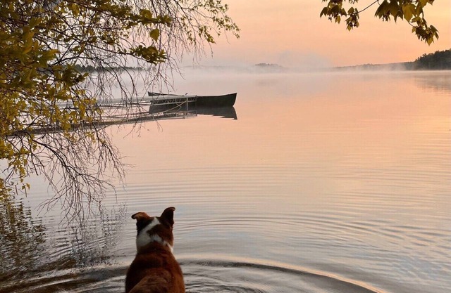 Nautilus: Floating Island Waterhouse