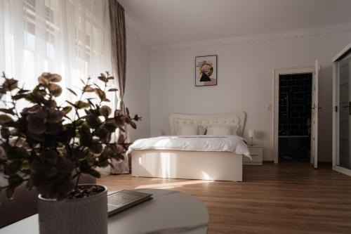 Floris11 Aparthotel Oradea