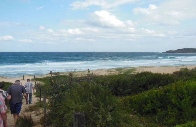 Flores casa, Catherine Hill Bay