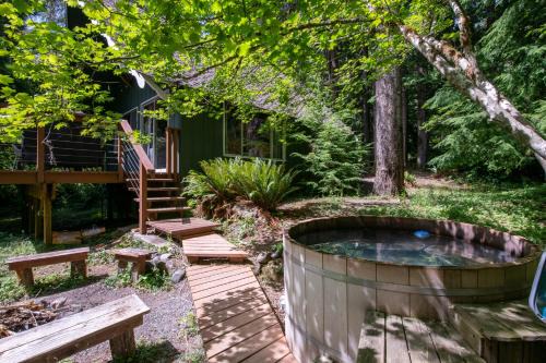 Fog & Fern Hideaway at Mount Rainier