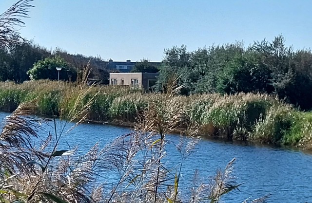 Petten cerca de la playa, 2 personas, todas las habitaciones a nivel del suelo, vista despejada