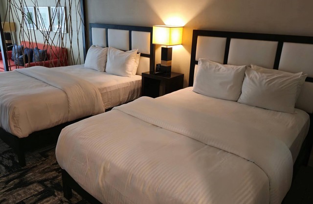 Foodie Paradise in Downtown Doral – Large Studio