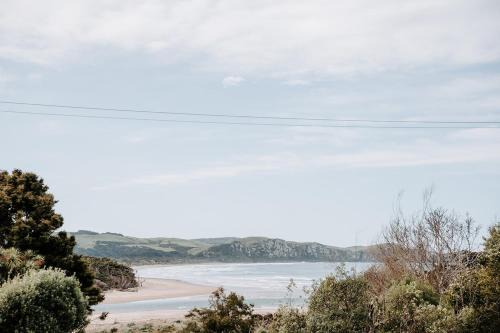Forest Edge, The Catlins