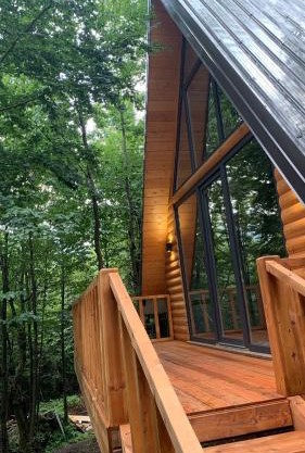 Forest Escape