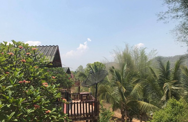 Forest Guesthouse