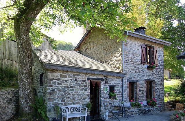 Escondite forestal, Baillamont