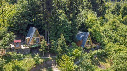 Forest House