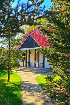 Forest House Podwilczyn with sauna & fireplace