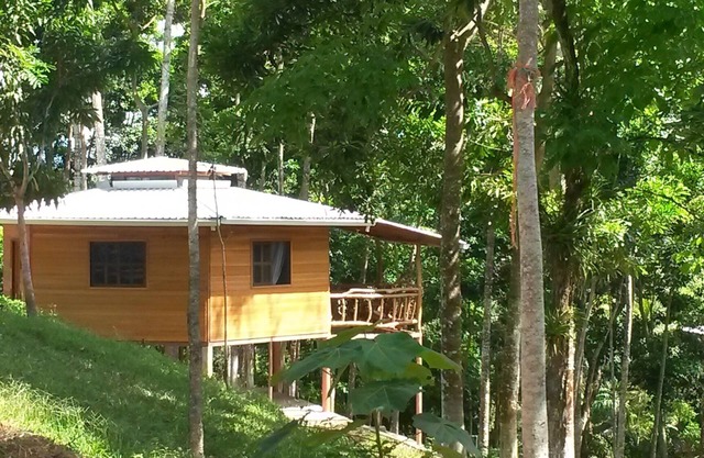 Cabaña forestal y aguas termales
