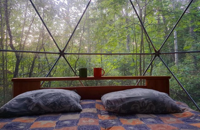 Forest Hut