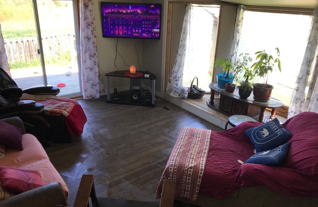 Forest Oasis welcomes you, take a break and rest with Mother Nature