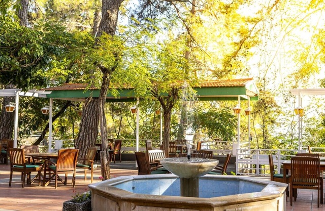 Forest Park Hotel