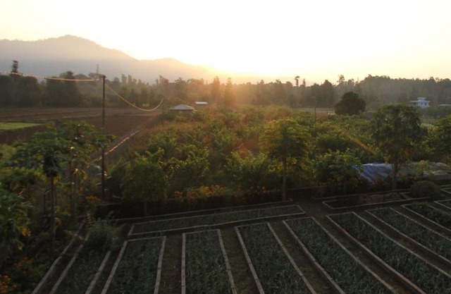 Forest Side Farm - Homestay at Kotabagh Near Nainital and Jim Corbett