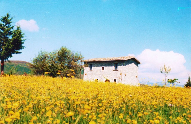 Forli Del Sannio: Mansión - Forlì del Sannio