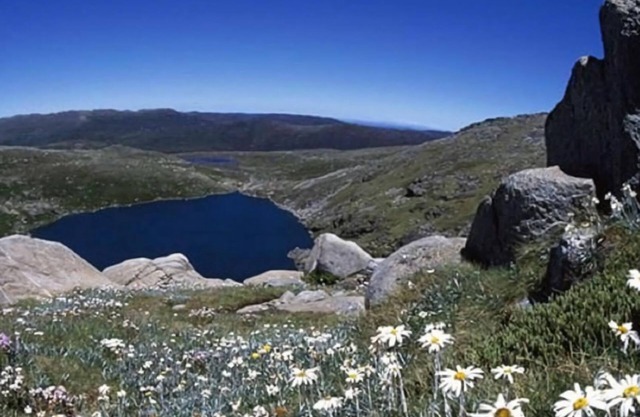 Choza de cuatro millas - Crackenback, NSW