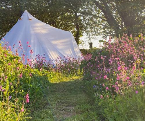 Foxglove Field Glamping