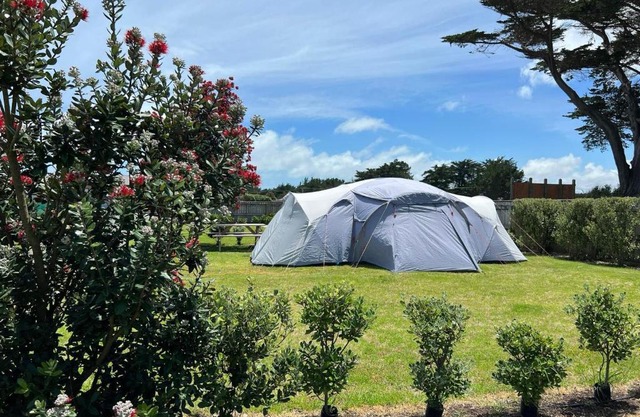 Foxton Beach Holiday Park - Camping