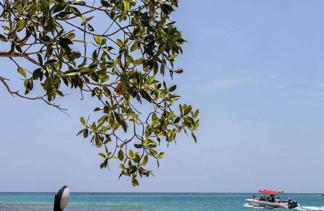 Fragata Island