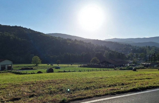 Fratelli Oddone Farmhouse: Edelweiss