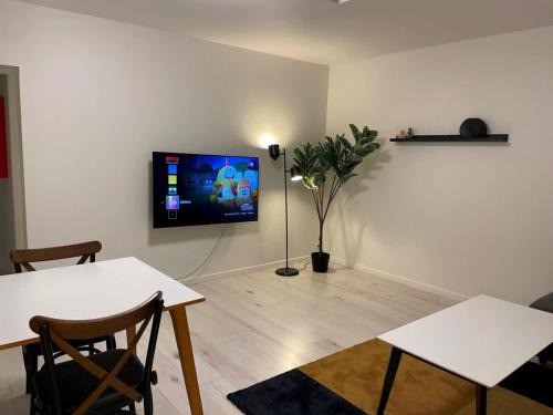 Frederiksberg stylish apt