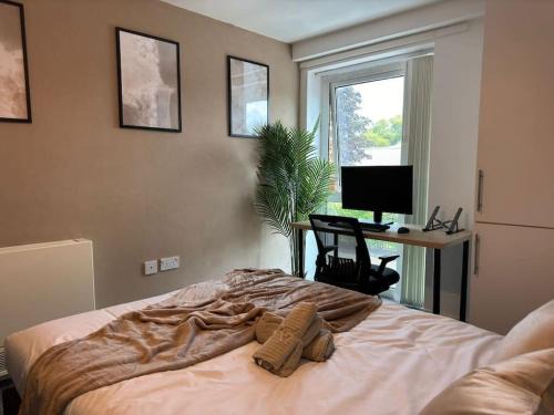 Free Parking Sleeps 6 Modern Apartment