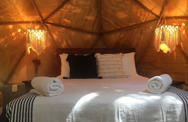 frequency dome