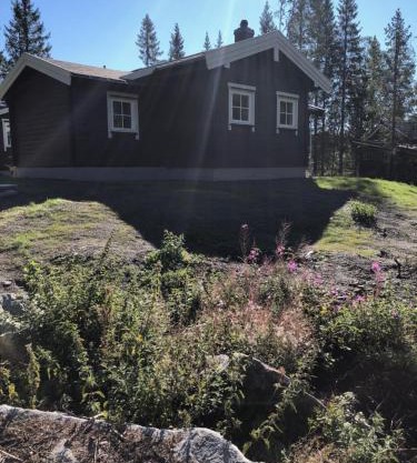 Fresh Familie Hytte Hemsedal