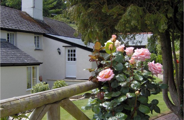 Frogwell