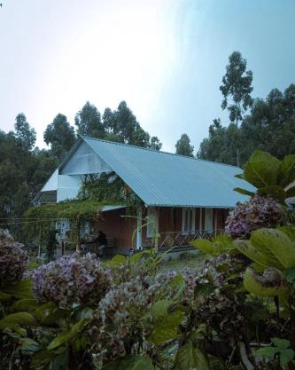 Fruit land resort