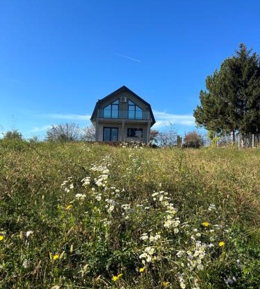 Fruska Gora Villa Medici