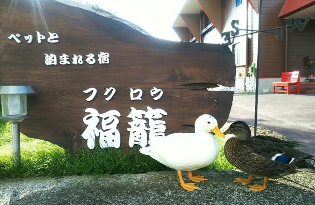 Fukurou