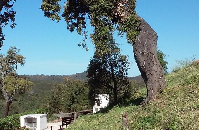 Casa de campo totalmente independiente en su propio terreno con piscina climatizada muy privada